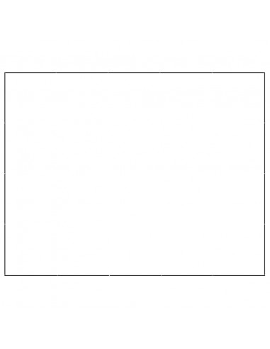 Gabbia per Cani Nera 20 m² in Acciaio