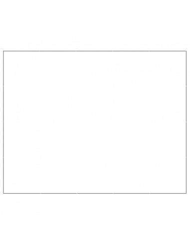 Gabbia per Cani Argento 20 m² in Acciaio