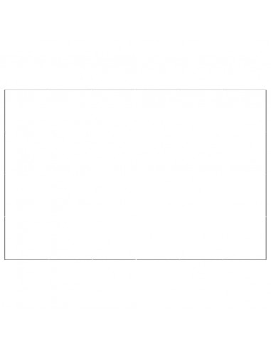 Gabbia per Cani Argento 24 m² in Acciaio