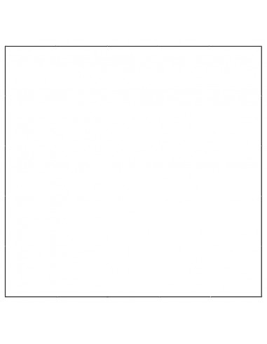 Gabbia per Cani Nera 25 m² in Acciaio