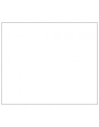 Gabbia per Cani Nera 56 m² in Acciaio