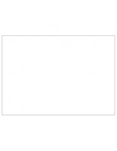 Gabbia per Cani Argento 35 m² in Acciaio