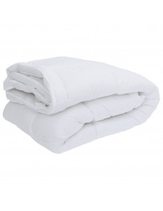 Coprimaterasso Bianco 160x200 cm 2