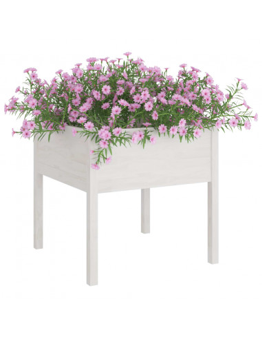 Fioriere da Giardino 2 pz Bianche 70x70x70 cm in Legno di Pino