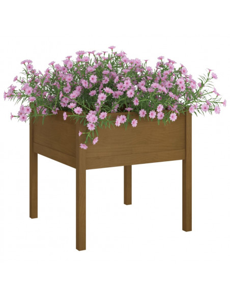 Fioriere da Giardino 2 pz Miele 70x70x70 cm in Massello di Pino
