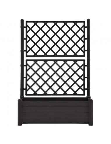 Fioriera da Giardino con Graticcio 100x43x142 cm PP Antracite
