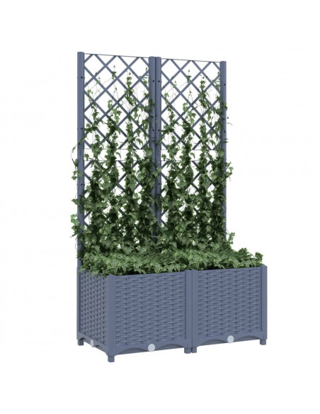 Fioriera da Giardino con Graticcio Grigio Scuro 80x40x136 cm PP