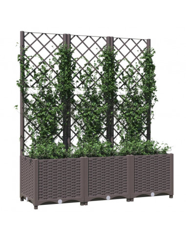 Fioriera da Giardino con Graticcio Marrone 120x40x136 cm in PP