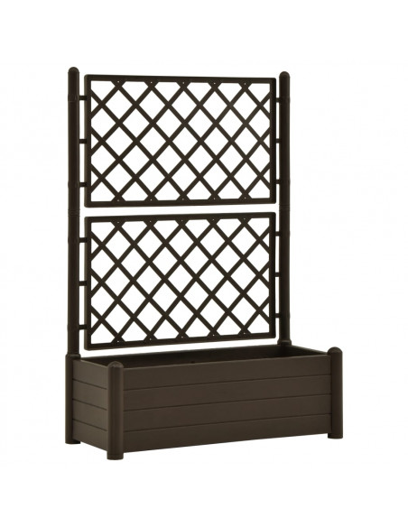 Fioriera da Giardino con Graticcio 100x43x142 cm PP Moca