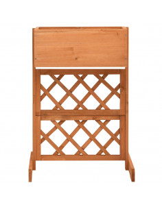 Fioriera con Traliccio Arancione 45x30x74 cm Massello di Abete 2