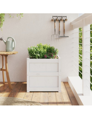Fioriera da Giardino Bianca 50x50x50 cm Legno Massello di Pino