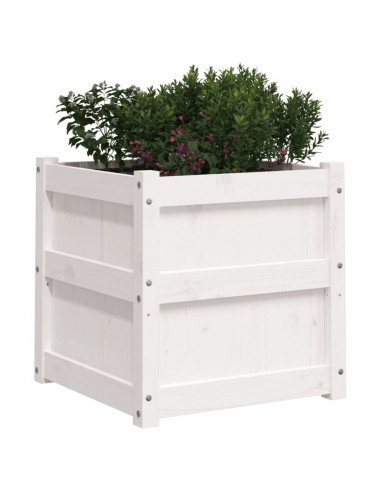 Fioriera da Giardino Bianca 50x50x50 cm Legno Massello di Pino