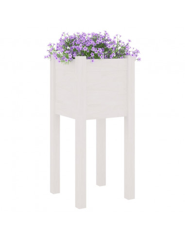 Fioriere da Giardino 2 pz Bianche 31x31x70 cm in Legno di Pino