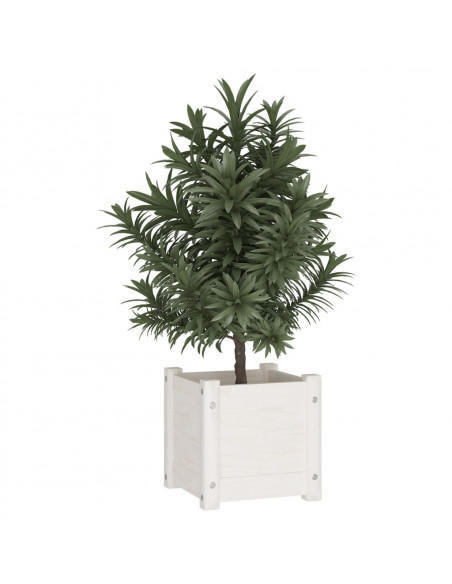 Fioriere da Giardino 2 pz Bianche 31x31x31 cm Massello di Pino