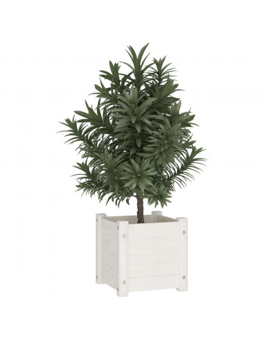 Fioriera da Giardino Bianca 31x31x31 cm Legno Massello di Pino