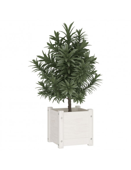 Fioriera da Giardino Bianca 31x31x31 cm Legno Massello di Pino
