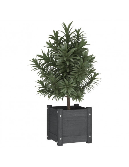 Fioriera da Giardino Grigia 31x31x31 cm Legno Massello di Pino