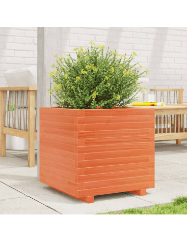 Fioriera Giardino Marrone Cera 50x50x49,5cm Legno Massello Pino