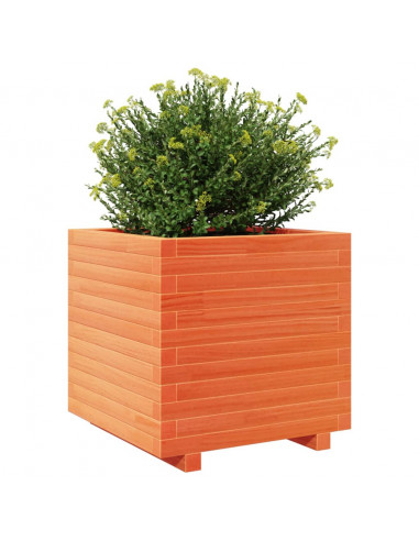 Fioriera Giardino Marrone Cera 50x50x49,5cm Legno Massello Pino