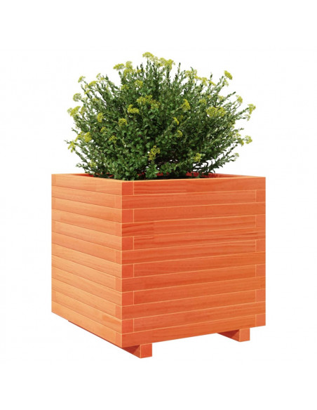 Fioriera Giardino Marrone Cera 50x50x49,5cm Legno Massello Pino