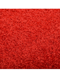 Zerbino Lavabile Rosso 40x60 cm