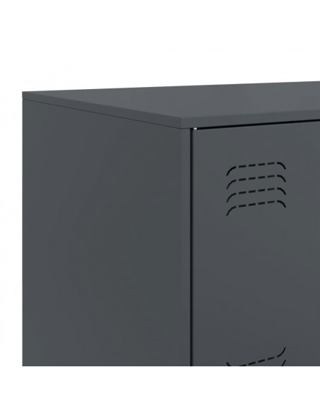 Credenza Antracite 67x39x73 cm in Acciaio