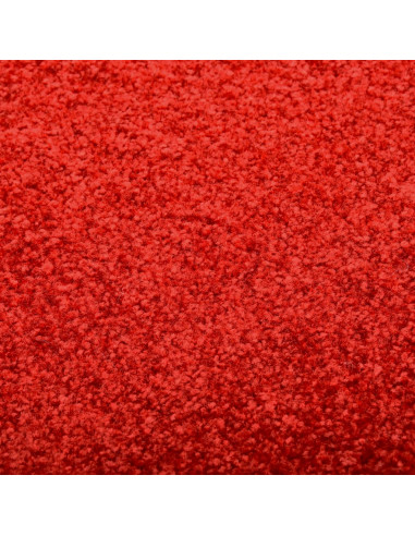 Zerbino Lavabile Rosso 90x150 cm