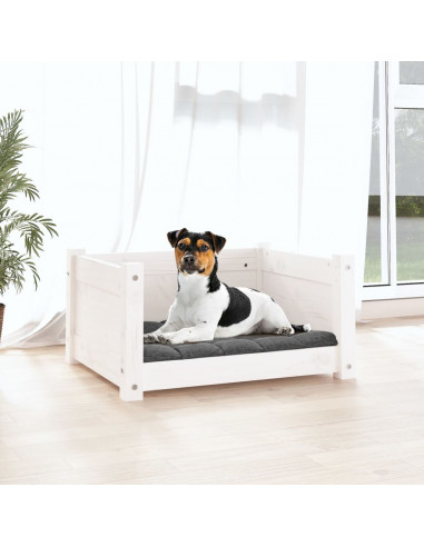 Cuccia per Cani Bianca 55,5x45,5x28cm in Legno Massello di Pino