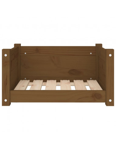 Cuccia per Cani Miele 55,5x45,5x28 cm Legno Massello di Pino