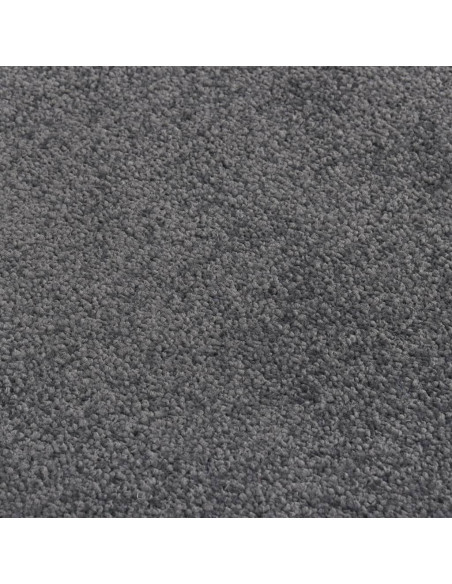 Zerbino Antracite 80x120 cm