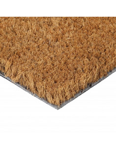 Zerbino Naturale 40x60 cm Fibra di Cocco 2