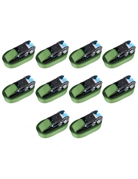 Cinghie d'Ancoraggio a Cricchetto 10 pz 800 daN 6m Verde