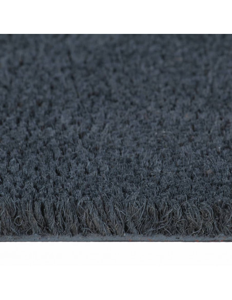 Zerbino Grigio Scuro 80x100 cm Fibra di Cocco