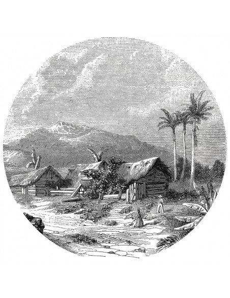 WallArt Carta da Parati Circolare Landscape of Guadeloupe 190 cm