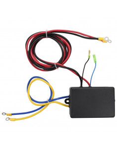 Verricello Elettrico 12 V 1360 kg con Piastra e Rullo Passacavo