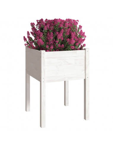 Fioriera da Giardino Bianca 50x50x70 cm Legno Massello di Pino
