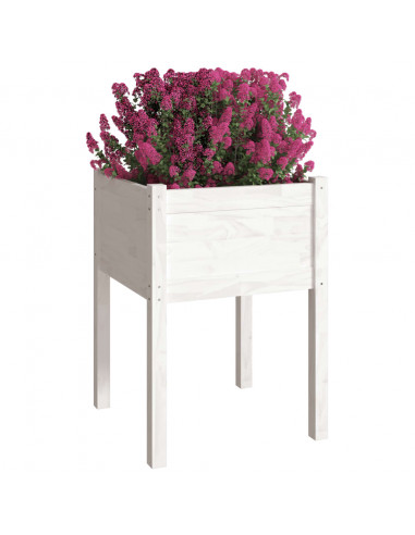 Fioriere da Giardino 2 pz Bianche 50x50x70 cm Massello di Pino