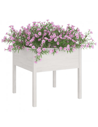 Fioriera da Giardino Bianca 70x70x70 cm Legno Massello di Pino