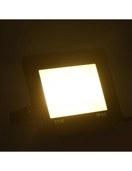 Faretto a LED 50 W Bianco Caldo