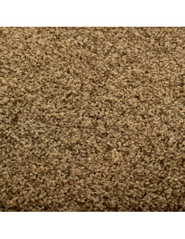 Zerbino Lavabile Marrone 60x90 cm