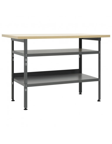 Banco da Lavoro Grigio 120x60x85 cm in Acciaio