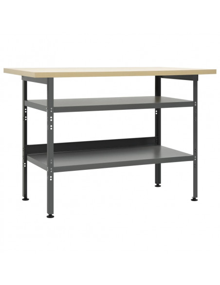 Banco da Lavoro Grigio 120x60x85 cm in Acciaio
