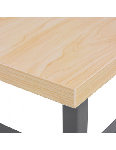 Banco da Lavoro Grigio 120x60x85 cm in Acciaio