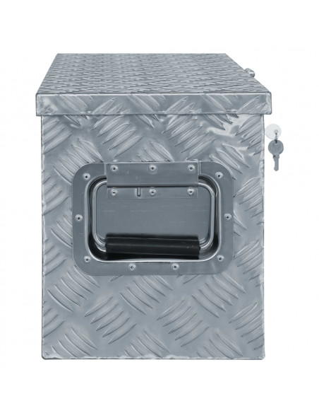 Cassetta in Alluminio 61,5x26,5x30 cm Argento