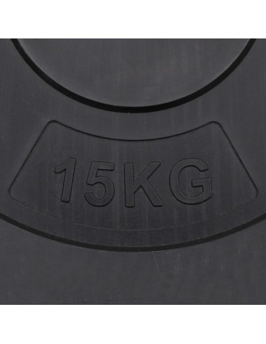 Dischi per Pesi 2 pz 30 kg in Cemento