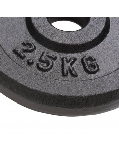 Dischi per Pesi 8 pz 8x2,5 kg in Ghisa