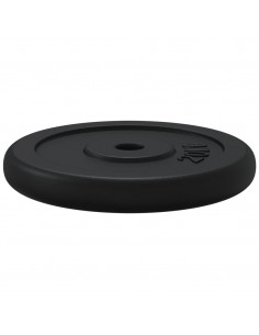 Disco per Pesi 40 kg in Ghisa