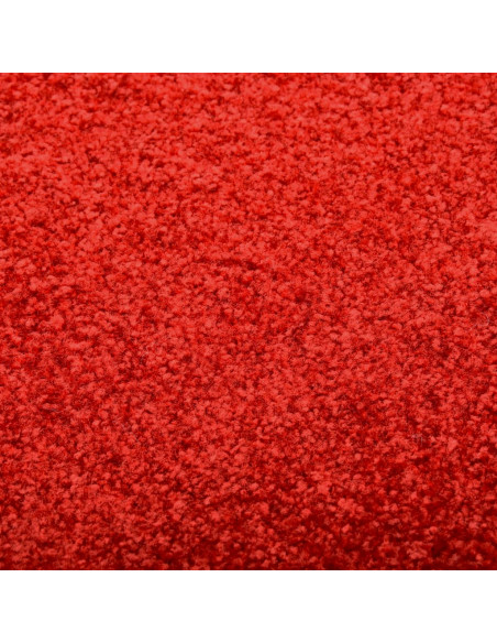 Zerbino Lavabile Rosso 120x180 cm