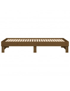 Dormeuse Estraibile Miele 2x(100x200) cm Legno Massello di Pino