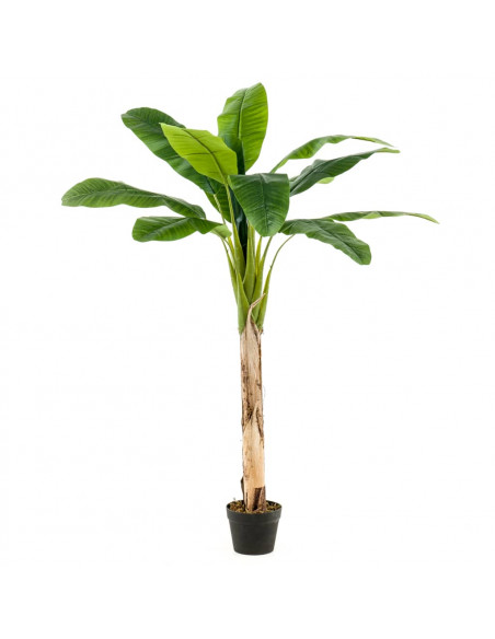 Emerald Albero di Banane Artificiale in Vaso 120 cm